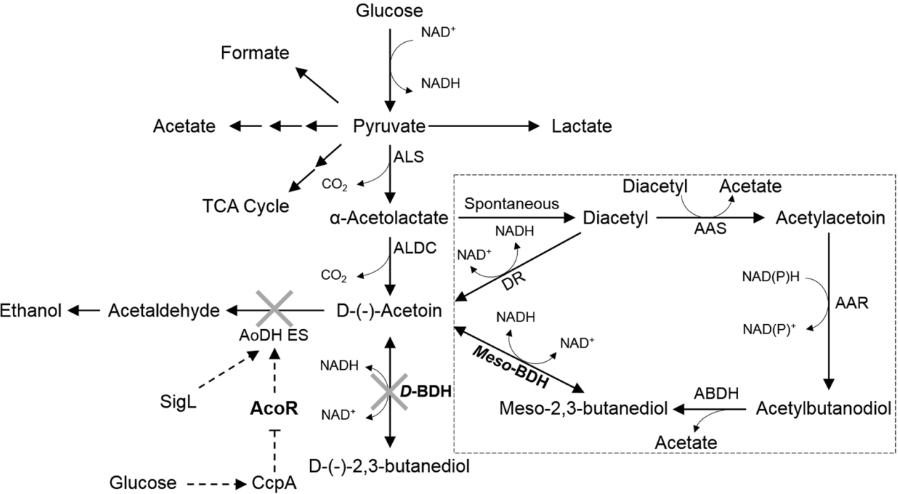 173189831711997135.png 图片1.png