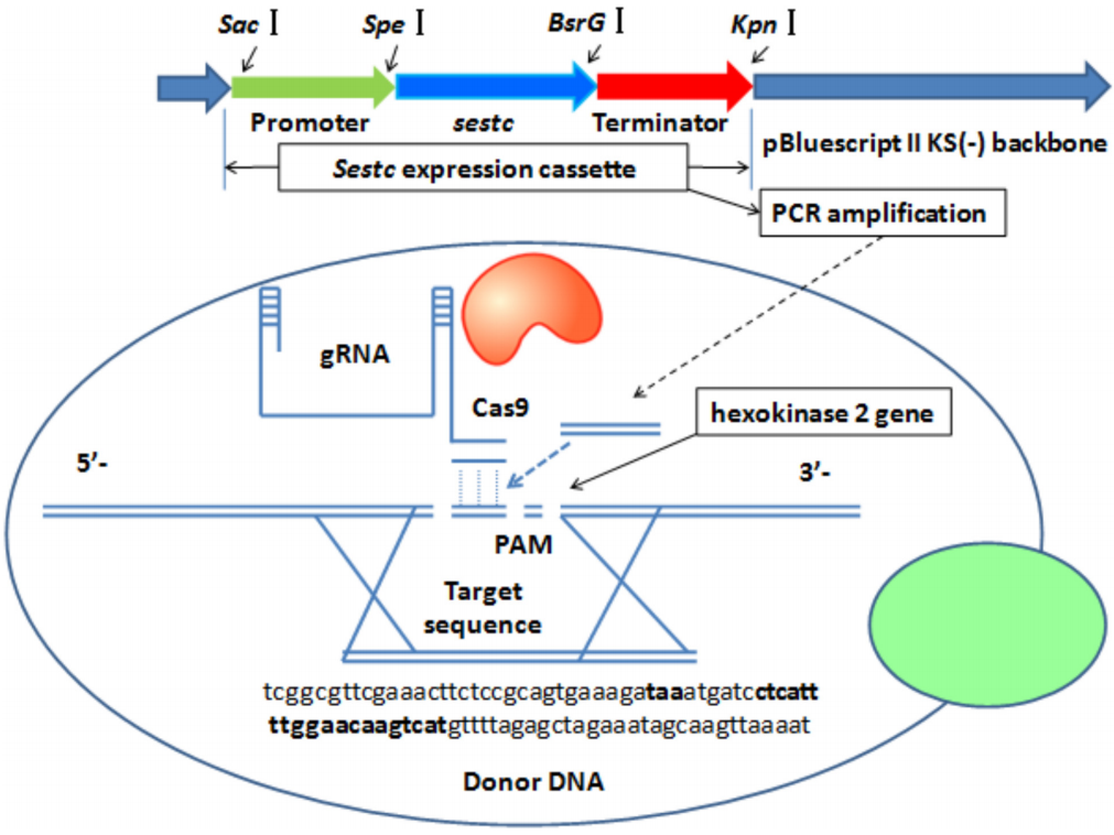 173189920525334360.png 图片7.png