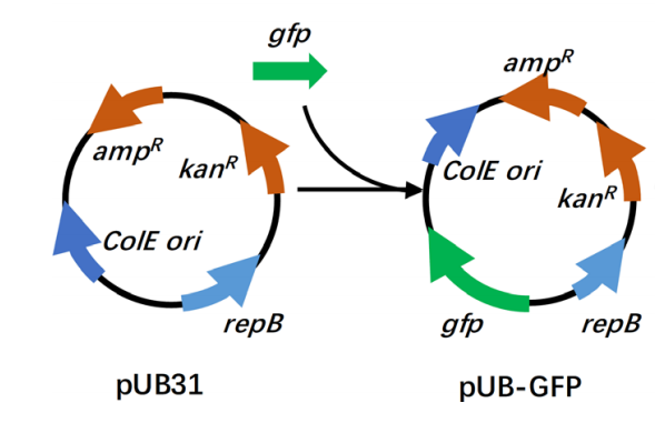 173190025518857029.png 图片13.png