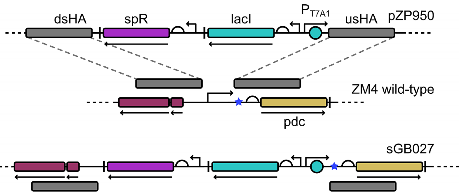 173190832795269377.png 图片18.png