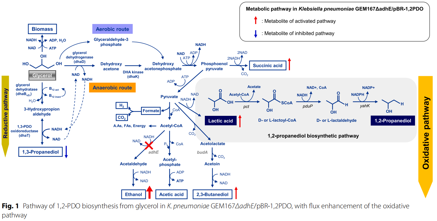 173191030149128065.png 图片33.png