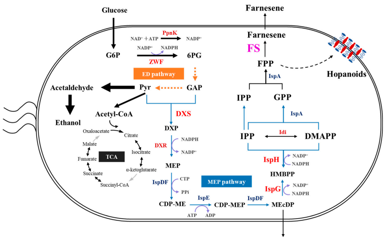 173191073339979731.png 图片40.png