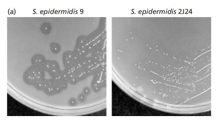 173329870931971304.png e8dbd2afc61dfacb7886e463fe9b3266.png